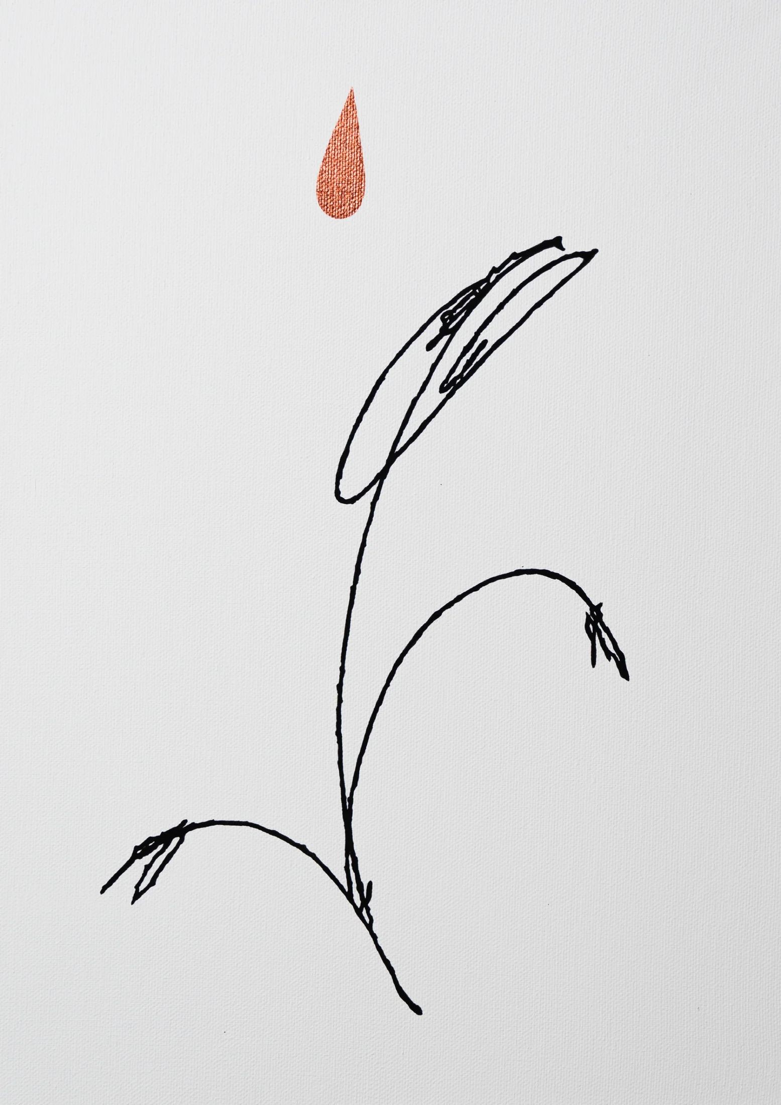 03 / 17